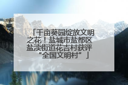 千亩葵园绽放文明之花！盐城市盐都区盐渎街道花吉村获评“全国文明村”