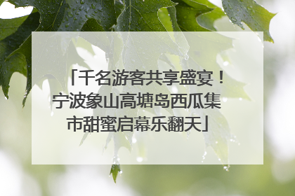 千名游客共享盛宴！宁波象山高塘岛西瓜集市甜蜜启幕乐翻天