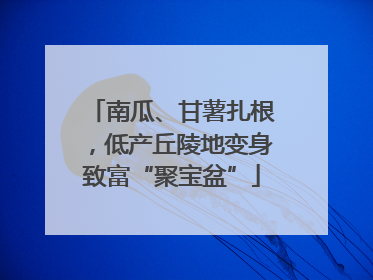 南瓜、甘薯扎根，低产丘陵地变身致富“聚宝盆”