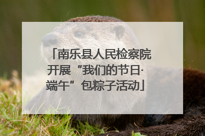 南乐县人民检察院开展“我们的节日·端午”包粽子活动