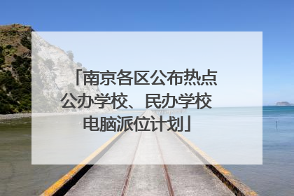 南京各区公布热点公办学校、民办学校电脑派位计划