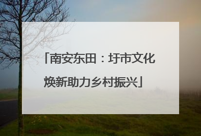 南安东田：圩市文化焕新助力乡村振兴