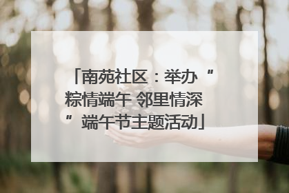 南苑社区：举办“粽情端午 邻里情深”端午节主题活动