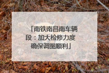 南铁南昌南车辆段：加大检修力度确保调图顺利
