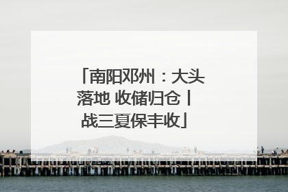南阳邓州：大头落地 收储归仓丨战三夏保丰收