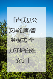卢氏县公安局创新警务模式 全力守护百姓安宁