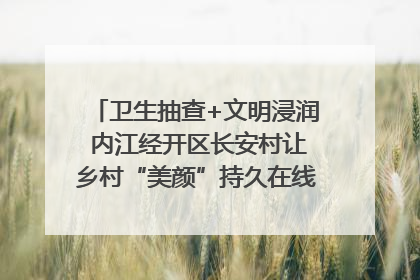 卫生抽查+文明浸润 内江经开区长安村让乡村“美颜”持久在线｜万千气象看四川