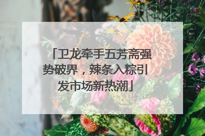 卫龙牵手五芳斋强势破界，辣条入粽引发市场新热潮