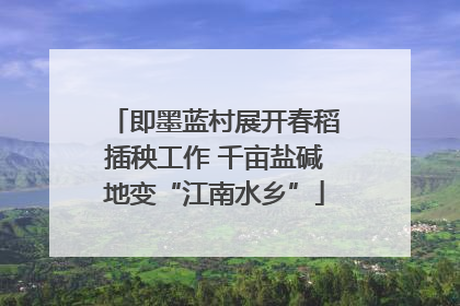 即墨蓝村展开春稻插秧工作 千亩盐碱地变“江南水乡”