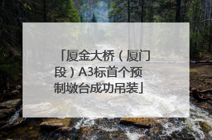 厦金大桥（厦门段）A3标首个预制墩台成功吊装