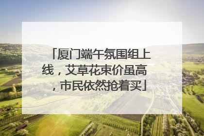 厦门端午氛围组上线，艾草花束价虽高，市民依然抢着买