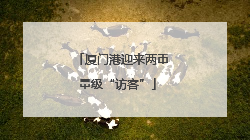 厦门港迎来两重量级“访客”