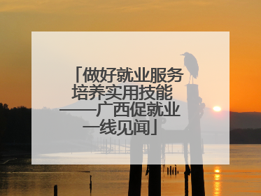 做好就业服务 培养实用技能——广西促就业一线见闻