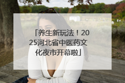养生新玩法！2025河北省中医药文化夜市开幕啦
