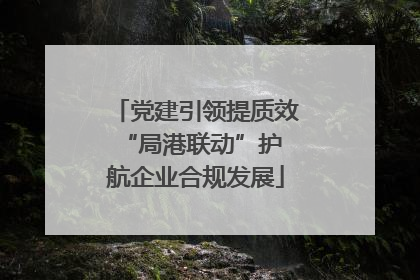 党建引领提质效 “局港联动”护航企业合规发展