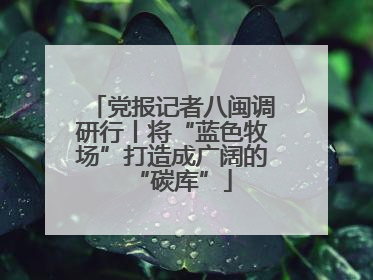 党报记者八闽调研行丨将“蓝色牧场”打造成广阔的“碳库”