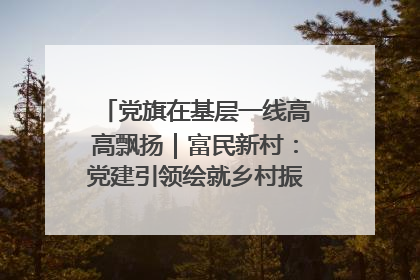 党旗在基层一线高高飘扬｜富民新村：党建引领绘就乡村振兴美丽画卷