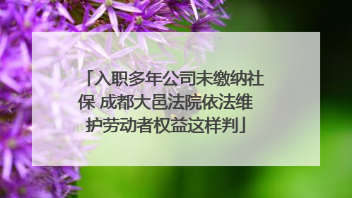 入职多年公司未缴纳社保 成都大邑法院依法维护劳动者权益这样判