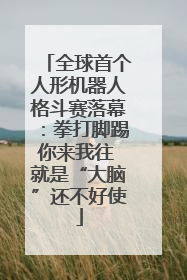 全球首个人形机器人格斗赛落幕：拳打脚踢你来我往 就是“大脑”还不好使