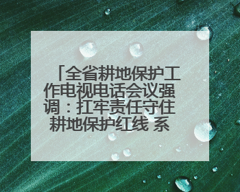 全省耕地保护工作电视电话会议强调：扛牢责任守住耕地保护红线 系统施治夯实粮食安全根基 王宁作出批示 王予波出席并讲话