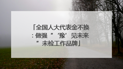全国人大代表金不换：做强“‘豫’见未来”未检工作品牌