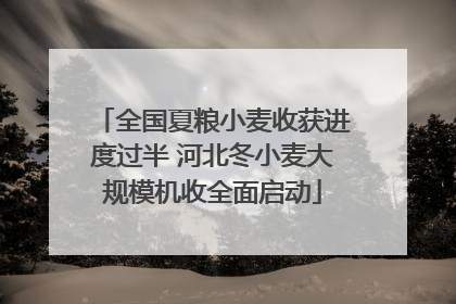 全国夏粮小麦收获进度过半 河北冬小麦大规模机收全面启动