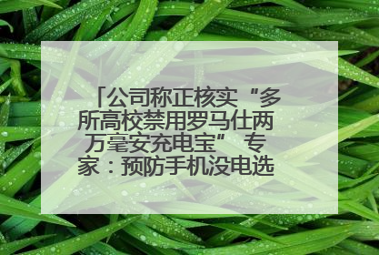 公司称正核实“多所高校禁用罗马仕两万毫安充电宝” 专家：预防手机没电选中等体积产品即可