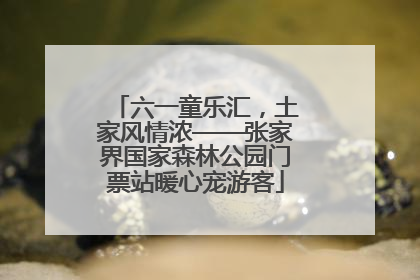 六一童乐汇，土家风情浓——张家界国家森林公园门票站暖心宠游客
