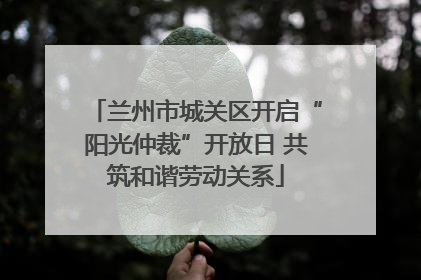 兰州市城关区开启“阳光仲裁”开放日 共筑和谐劳动关系
