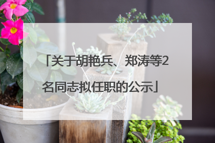 关于胡艳兵、郑涛等2名同志拟任职的公示