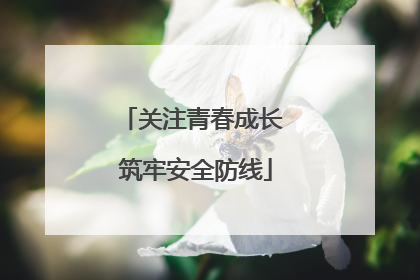 关注青春成长 筑牢安全防线