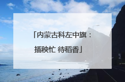 内蒙古科左中旗：插秧忙 待稻香