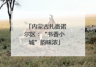 内蒙古扎赉诺尔区：“书香小城”韵味浓
