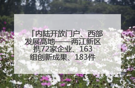 内陆开放门户、西部发展高地——两江新区携72家企业、163组创新成果、183件特色产品亮相西洽会