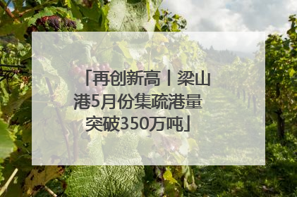 再创新高丨梁山港5月份集疏港量突破350万吨