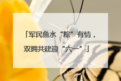 军民鱼水“粽”有情，双拥共建迎“六一”
