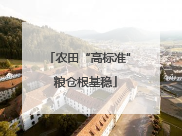 农田“高标准” 粮仓根基稳