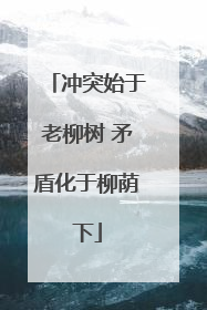 冲突始于老柳树 矛盾化于柳荫下