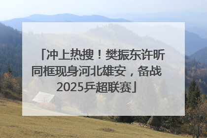 冲上热搜！樊振东许昕同框现身河北雄安，备战2025乒超联赛