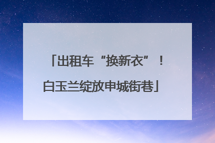 出租车“换新衣”！白玉兰绽放申城街巷