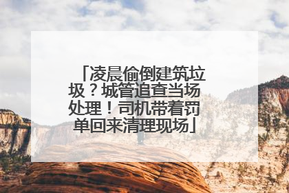 凌晨偷倒建筑垃圾？城管追查当场处理！司机带着罚单回来清理现场