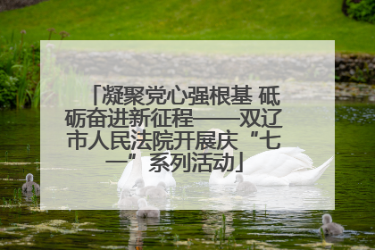 凝聚党心强根基 砥砺奋进新征程——双辽市人民法院开展庆“七一”系列活动