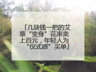 几块钱一把的艾草“变身”花束卖上百元，年轻人为“仪式感”买单