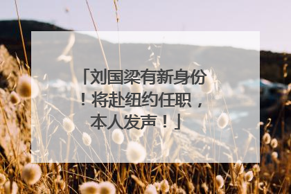 刘国梁有新身份！将赴纽约任职，本人发声！