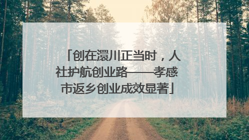 创在澴川正当时，人社护航创业路——孝感市返乡创业成效显著