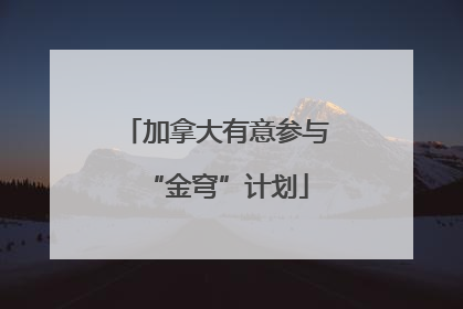 加拿大有意参与“金穹”计划