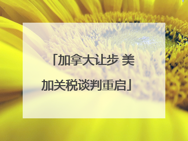 加拿大让步 美加关税谈判重启