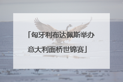匈牙利布达佩斯举办意大利面桥世锦赛