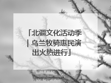 北疆文化活动季｜乌兰牧骑惠民演出火热进行