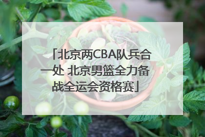 北京两CBA队兵合一处 北京男篮全力备战全运会资格赛